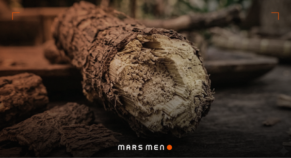 Does Tongkat Ali Increase Testosterone? The Honest Breakdown