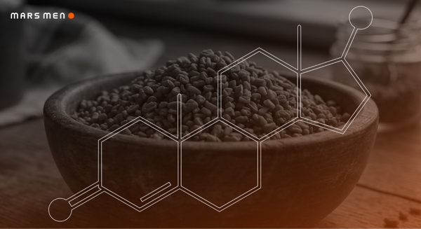 Fenugreek and Testosterone: How This Seed Extract Supports Hormone Balance