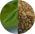 Natural Caffeine