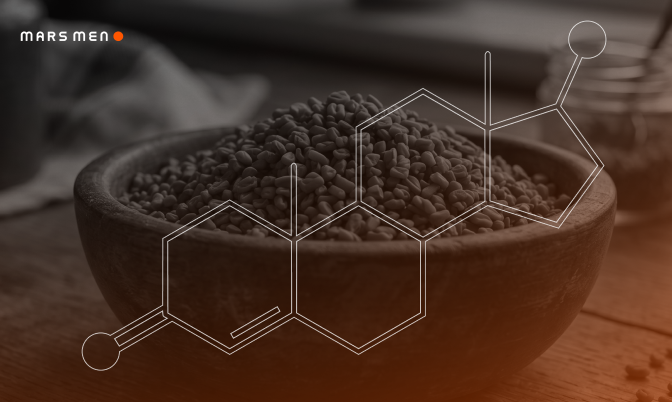 Fenugreek and Testosterone: How This Seed Extract Supports Hormone Balance