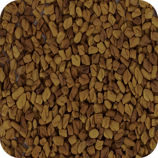 Fenugreek