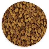 Fenugreek