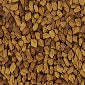 Fenugreek